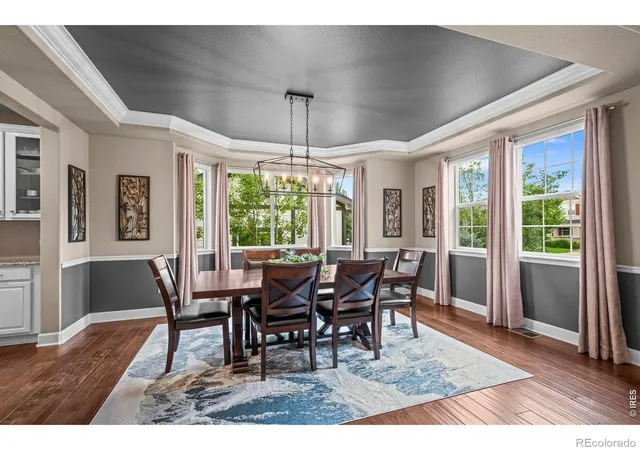 Homes for sale in Erie, CO | 233 Sunbeam Ct, Erie, CO 80516 | MLS# IR1063204