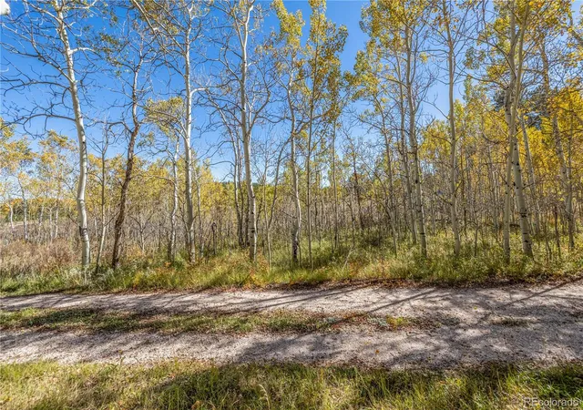Homes for sale in Red Feather Lakes, CO | Lot 2a & 2b, Red Feather Lakes, CO 80545 | MLS# 8382660