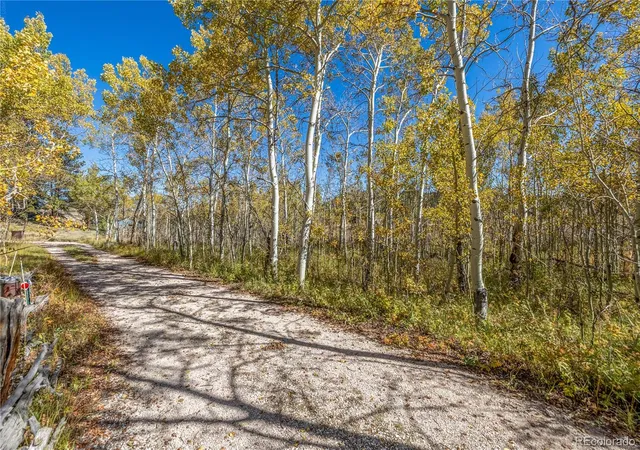 Homes for sale in Red Feather Lakes, CO | Lot 2a & 2b, Red Feather Lakes, CO 80545 | MLS# 8382660