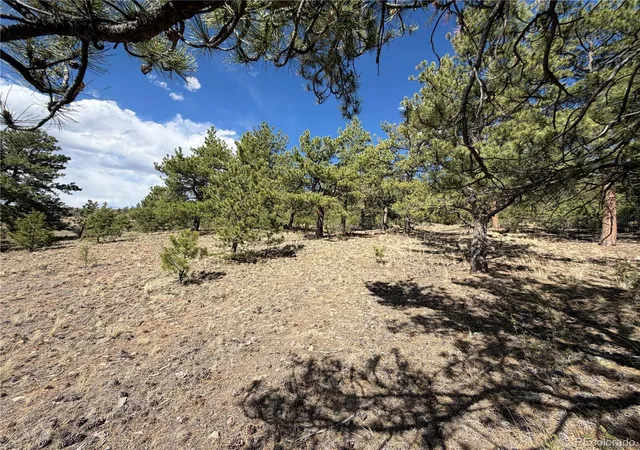 Homes for sale in Hartsel, CO | 830 Cohonina Rd, Hartsel, CO 80449 | MLS# 1990457