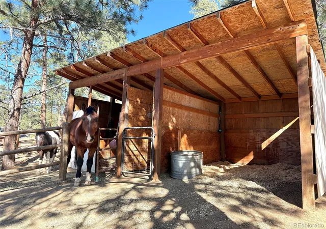 5th image of 22867 Pawnee Rd, Indian Hills, CO 80454 | MLS# 8854639