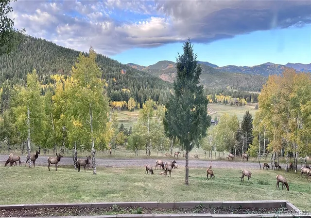 Photo 3 of Single family home for sale at 32042 Horseshoe Dr, Evergreen, CO 80439 | MLS# 7009087 | Listing updated on 2026-09-26