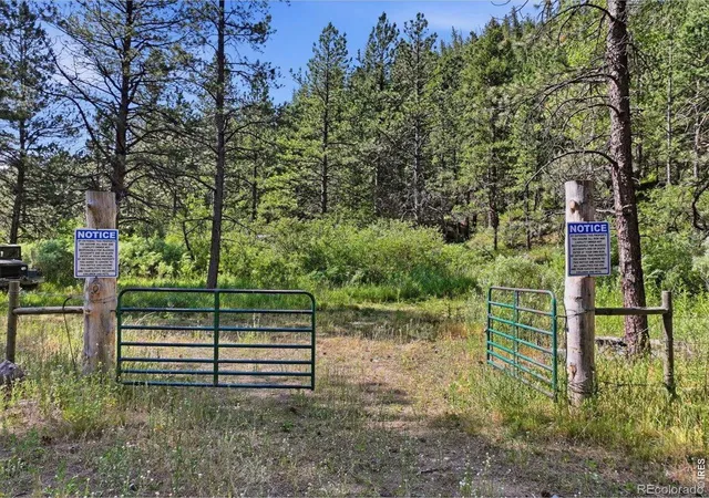 Homes for sale in Bellvue, CO | Spiritwood Ln, Bellvue, CO 80512 | MLS# IR1063243