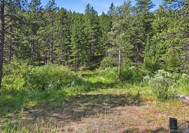 Homes for sale in Bellvue, CO | Spiritwood Ln, Bellvue, CO 80512 | MLS# IR1063243
