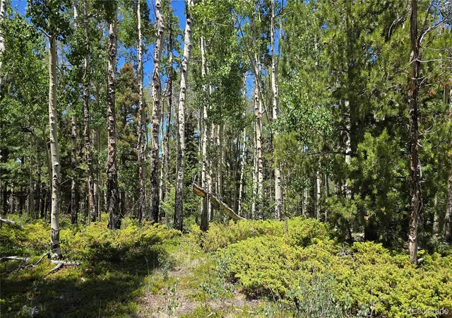 Homes for sale in San Luis, CO | Lot 6748 Starkweather Rd, San Luis, CO 81152 | MLS# 5100012