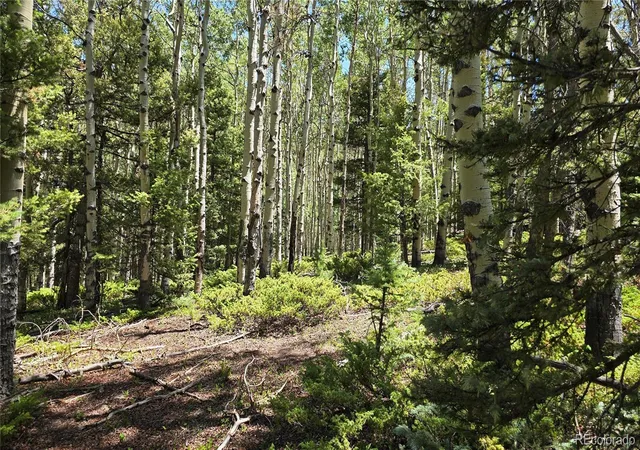Homes for sale in San Luis, CO | Lot 6748 Starkweather Rd, San Luis, CO 81152 | MLS# 5100012
