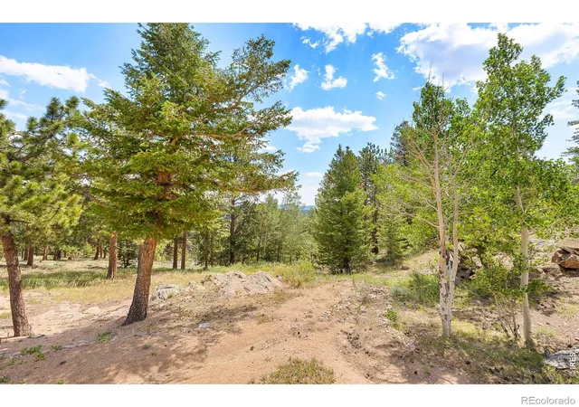 3rd image of 107 Miami Ct, Red Feather Lakes, CO 80545 | MLS# IR1063258