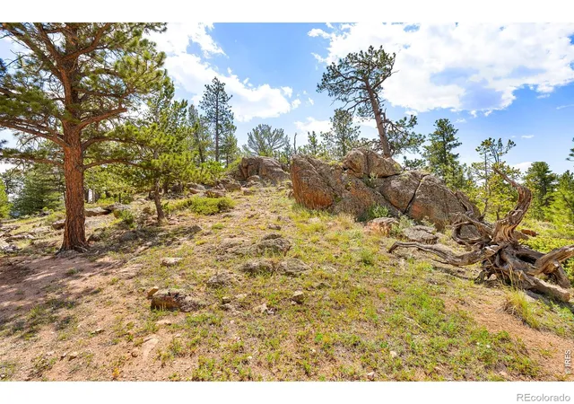 5th image of 107 Miami Ct, Red Feather Lakes, CO 80545 | MLS# IR1063258
