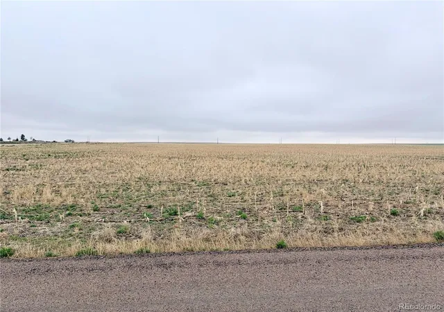 2nd image of 9650 N Manila Rd, Bennett, CO 80102 | MLS# 9766513