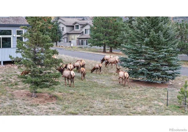 2nd image of 1555 Raven Cir, Estes Park, CO 80517 | MLS# IR1063307