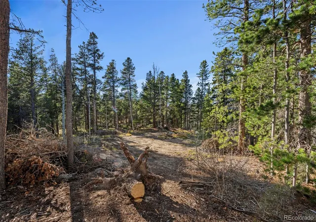 Homes for sale in Black Hawk, CO | 00 Severance Lodge Rd, Black Hawk, CO 80422 | MLS# 2929214