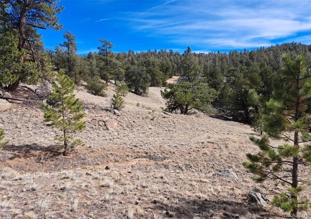 Homes for sale in Hartsel, CO | 369 Summit Rd, Hartsel, CO 80449 | MLS# 4749411