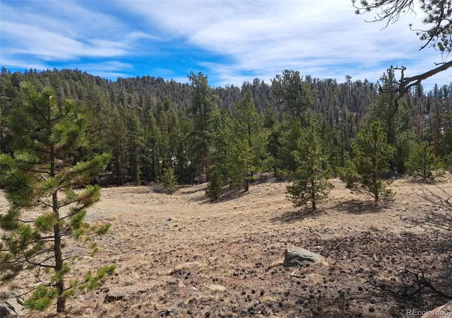 Homes for sale in Hartsel, CO | 369 Summit Rd, Hartsel, CO 80449 | MLS# 4749411