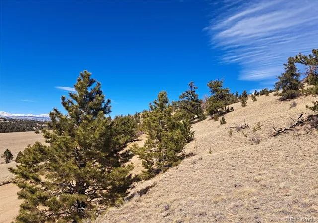 Homes for sale in Hartsel, CO | 369 Summit Rd, Hartsel, CO 80449 | MLS# 4749411