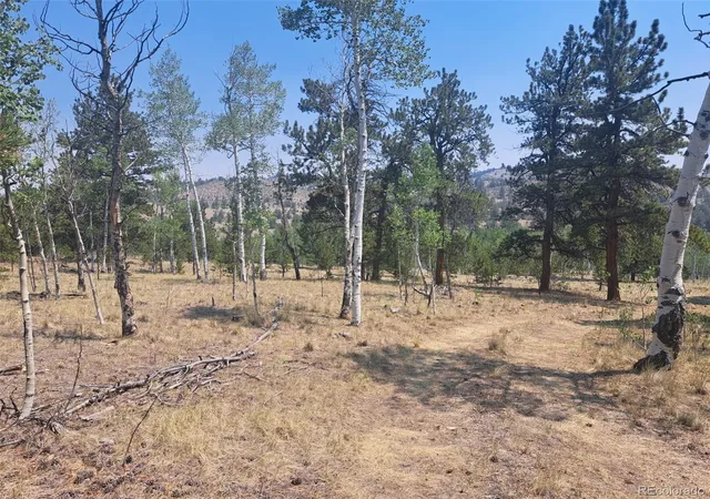 Homes for sale in Hartsel, CO | 2338 Fitzsimmons Rd, Hartsel, CO 80449 | MLS# 2362393