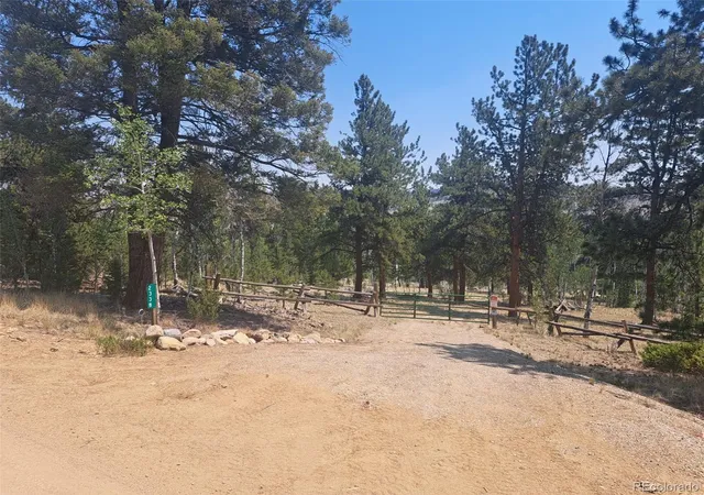 Homes for sale in Hartsel, CO | 2338 Fitzsimmons Rd, Hartsel, CO 80449 | MLS# 2362393
