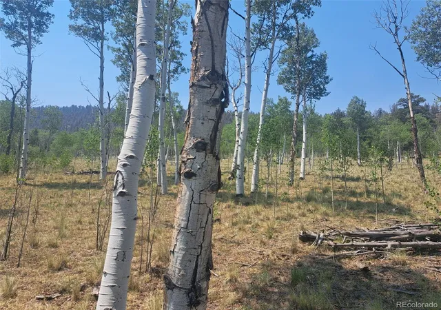 Homes for sale in Hartsel, CO | 2338 Fitzsimmons Rd, Hartsel, CO 80449 | MLS# 2362393