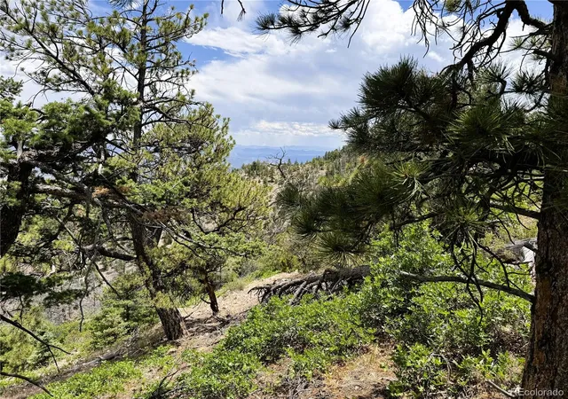 28th image of Lot 54 Knotty Pine Rd, Howard, CO 81233 | MLS# 7497294