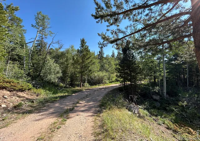 Homes for sale in Red Feather Lakes, CO | 506 Elkridge Rd, Red Feather Lakes, CO 80545 | MLS# IR1063365