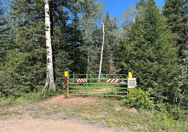 Homes for sale in Red Feather Lakes, CO | 506 Elkridge Rd, Red Feather Lakes, CO 80545 | MLS# IR1063365