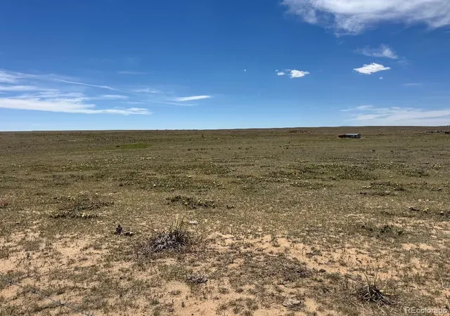 Homes for sale in Ramah, CO | 40495 Hoot Owl Road Road, Ramah, CO 80832 | MLS# 9362927
