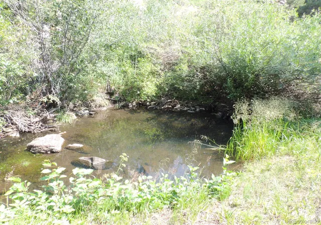 2nd image of 2300 Red Ashby Rd, Livermore, CO 80536 | MLS# IR1063377