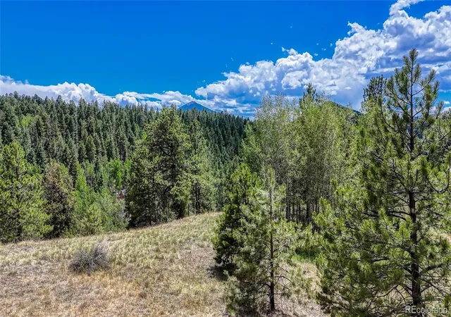 Homes for sale in Cripple Creek, CO | 218 Princess Rd, Cripple Creek, CO 80813 | MLS# 2561757