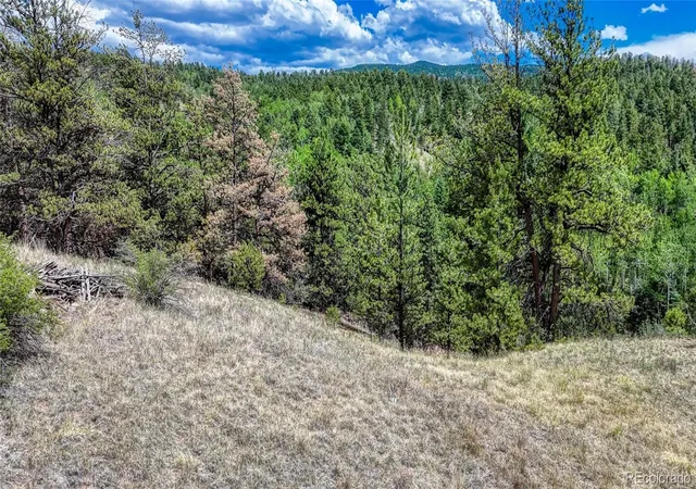 Homes for sale in Cripple Creek, CO | 218 Princess Rd, Cripple Creek, CO 80813 | MLS# 2561757