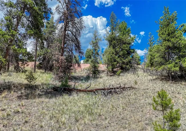 Homes for sale in Cripple Creek, CO | 218 Princess Rd, Cripple Creek, CO 80813 | MLS# 2561757