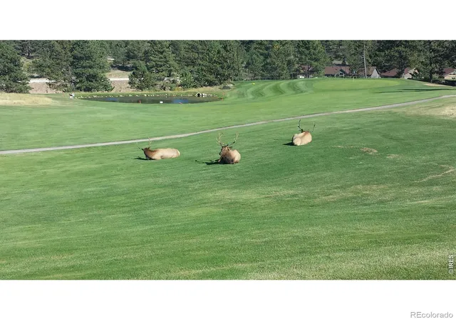 24th image of 1250 S Saint Vrain Ave #14, Estes Park, CO 80517 | MLS# IR1063422