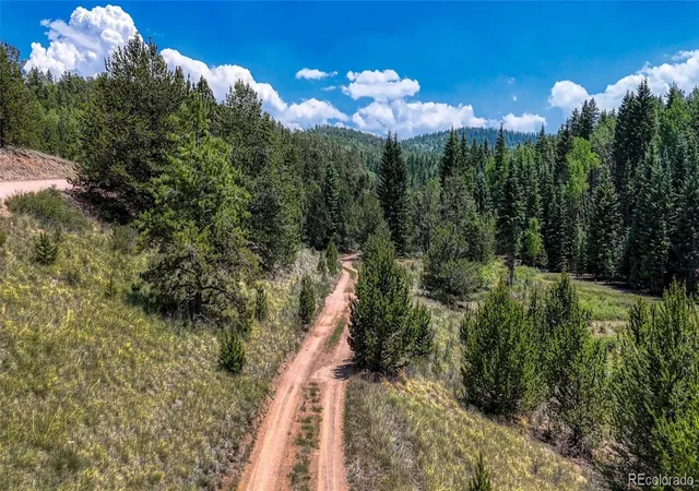 Homes for sale in Cripple Creek, CO | State Hwy 67, Cripple Creek, CO 80813 | MLS# 9957112