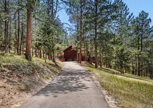 Homes for sale in Bailey, CO | 715 Mockingbird Trl, Bailey, CO 80421 | MLS# 5668945