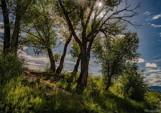 Photo 4 of Land for sale at 24283 River Rock Ln, Buena Vista, CO 81211 | MLS# 5786576 | Listing updated on 2026-08-12