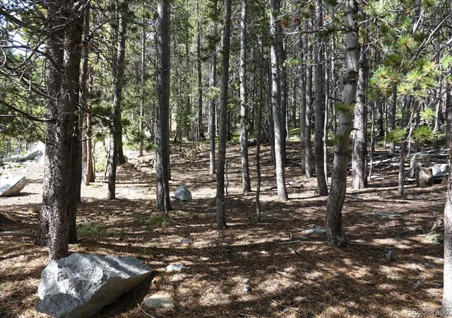 Homes for sale in Idaho Springs, CO | 00 Upper Forest Rd, Idaho Springs, CO 80452 | MLS# 8035392