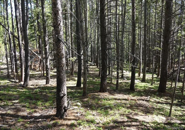 Homes for sale in Idaho Springs, CO | 00 Upper Forest Rd, Idaho Springs, CO 80452 | MLS# 8035392