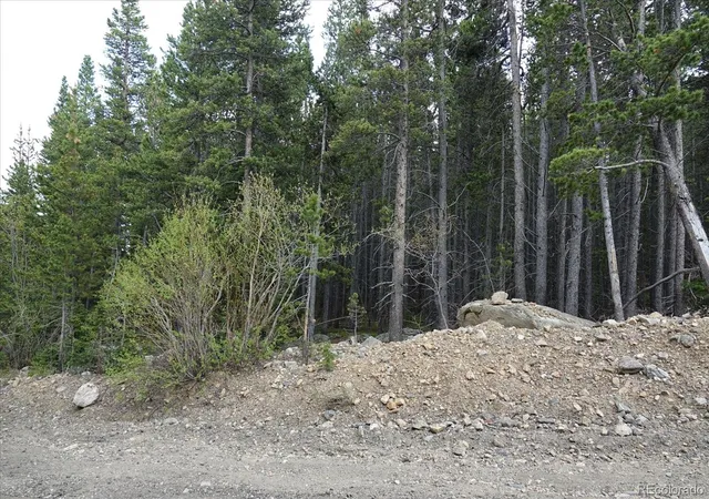 Homes for sale in Idaho Springs, CO | 00 Upper Forest Rd, Idaho Springs, CO 80452 | MLS# 8035392