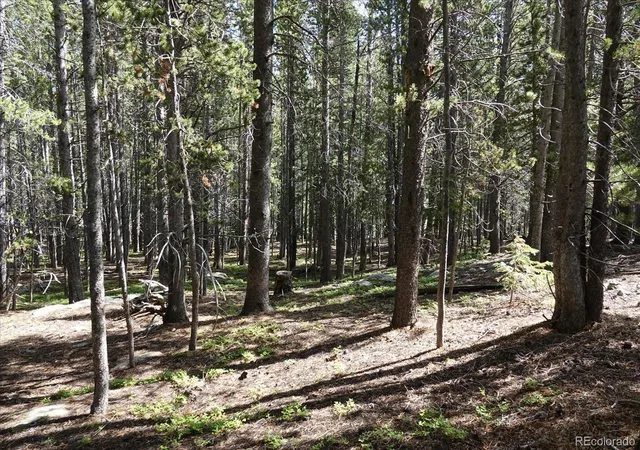 Homes for sale in Idaho Springs, CO | 00 Upper Forest Rd, Idaho Springs, CO 80452 | MLS# 8035392