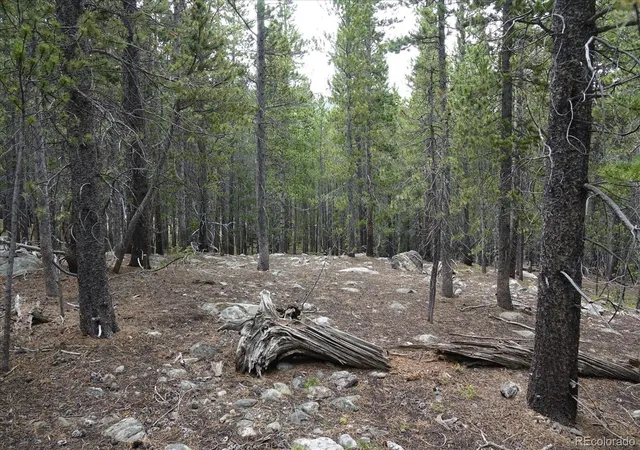 Homes for sale in Idaho Springs, CO | 00 Upper Forest Rd, Idaho Springs, CO 80452 | MLS# 8035392
