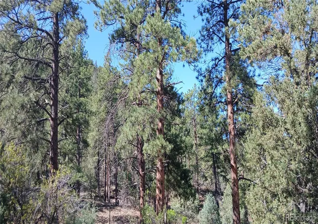 34th image of 938 18th Trl, Cotopaxi, CO 81223 | MLS# 2364715