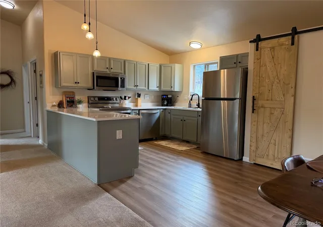 Homes for sale in Bailey, CO | 303 Virginia Rd #E, Bailey, CO 80421 | MLS# 8675158