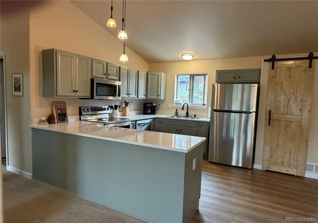 Homes for sale in Bailey, CO | 303 Virginia Rd #E, Bailey, CO 80421 | MLS# 8675158