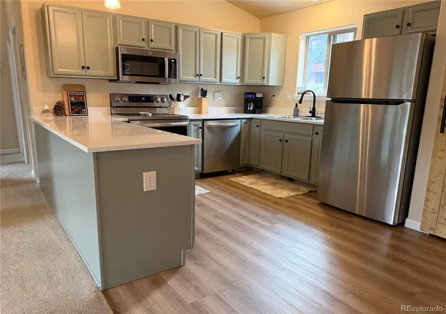 Homes for sale in Bailey, CO | 303 Virginia Rd #E, Bailey, CO 80421 | MLS# 8675158