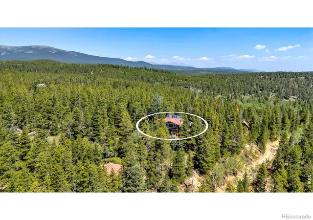 Homes for sale in Nederland, CO | 909 County Road 120j, Nederland, CO 80466 | MLS# IR1063480