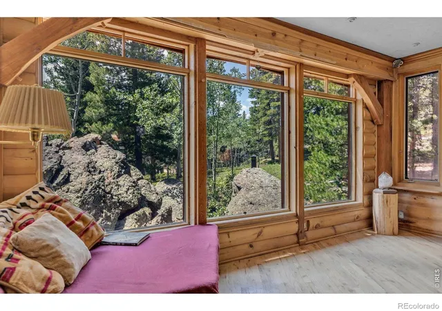 Homes for sale in Nederland, CO | 909 County Road 120j, Nederland, CO 80466 | MLS# IR1063480