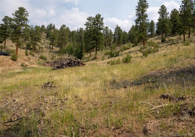 Homes for sale in Pine, CO | 13990 Pine Valley Rd, Pine, CO 80470 | MLS# 1804409