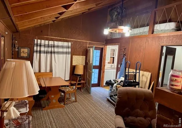 Homes for sale in Nederland, CO | 970 Bryan Ave, Nederland, CO 80466 | MLS# IR1063489