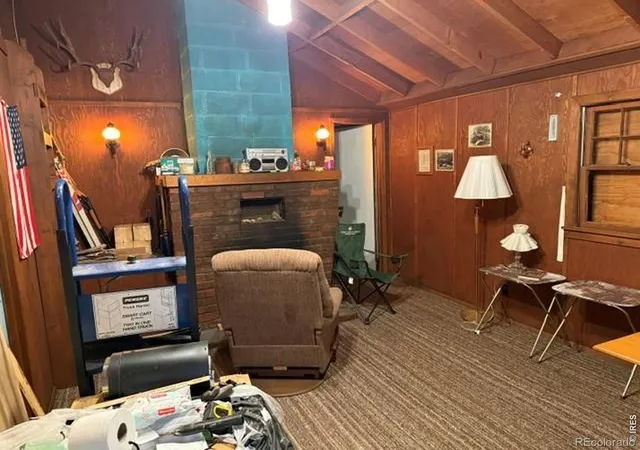 Homes for sale in Nederland, CO | 970 Bryan Ave, Nederland, CO 80466 | MLS# IR1063489