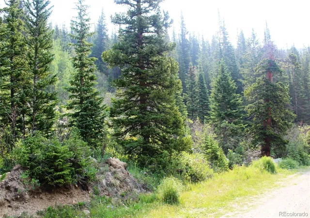 Homes for sale in Idaho Springs, CO | 01 Miners Rd, Idaho Springs, CO 80461 | MLS# 6206714