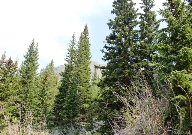 Homes for sale in Idaho Springs, CO | 01 Miners Rd, Idaho Springs, CO 80461 | MLS# 6206714