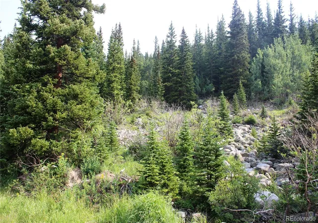 Homes for sale in Idaho Springs, CO | 01 Miners Rd, Idaho Springs, CO 80461 | MLS# 6206714